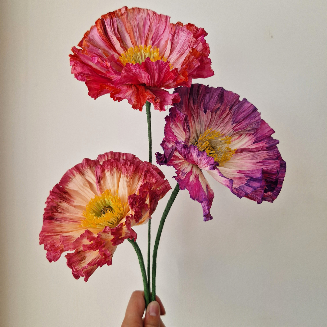 Valmue pink / rød