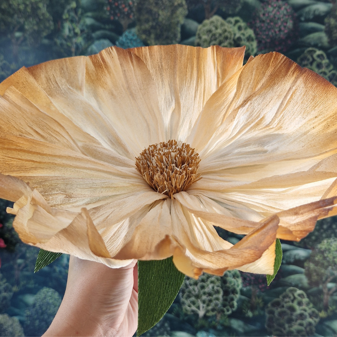 Vægblomst creme / brun