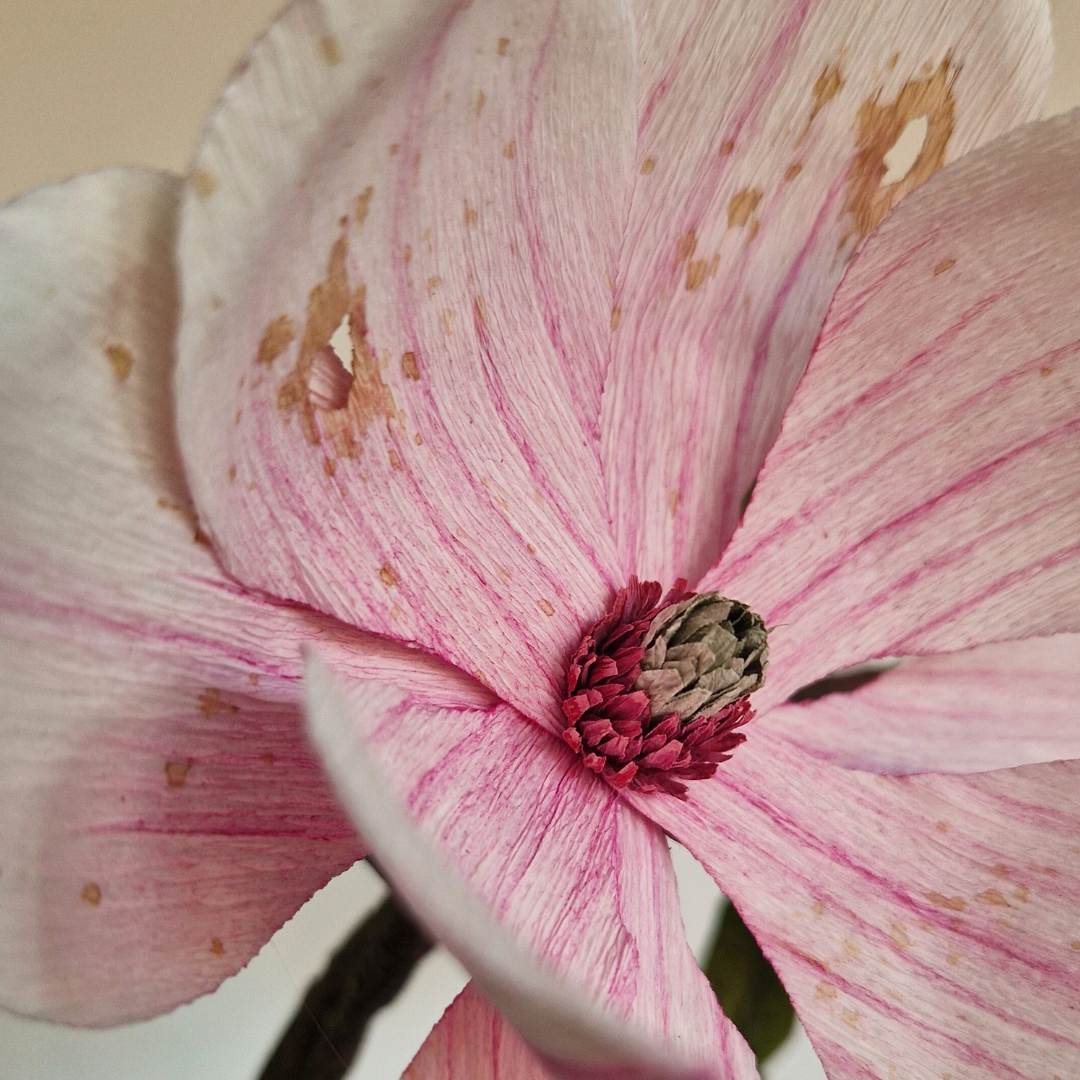 Magnoliagren