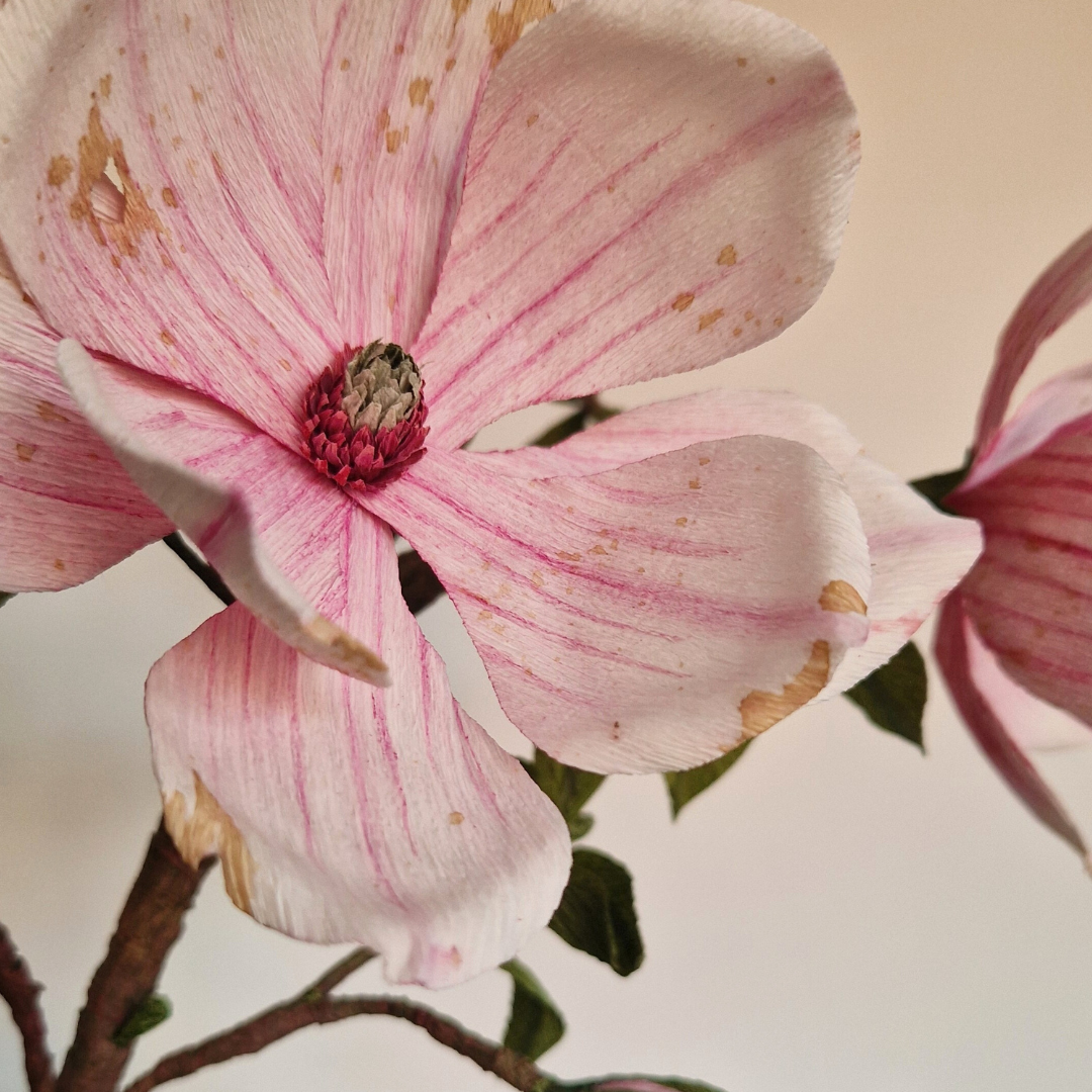 Magnoliagren