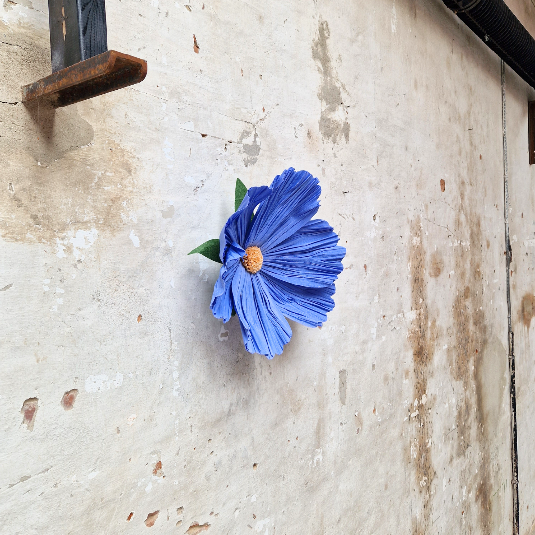 Vægblomst - blå