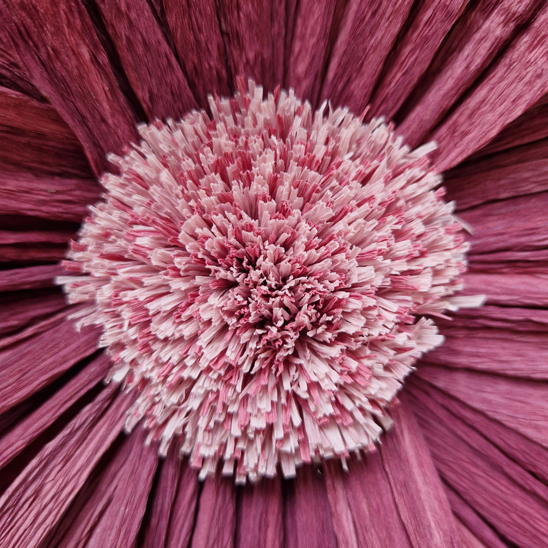 Vægblomst - mørk rosa