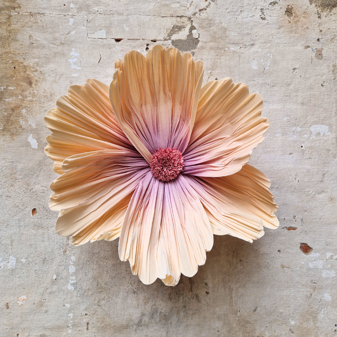 Vægblomst creme/rosa