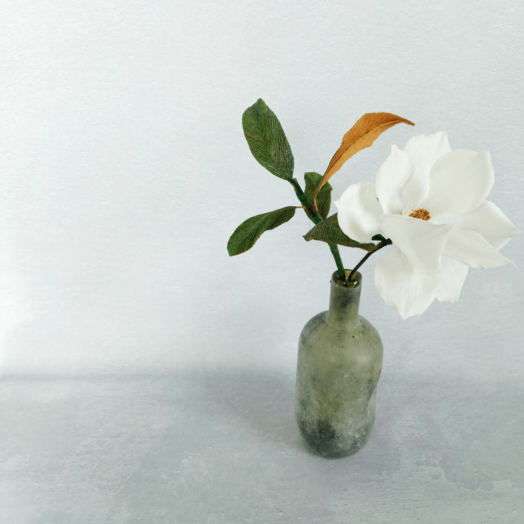 Hvid magnolia