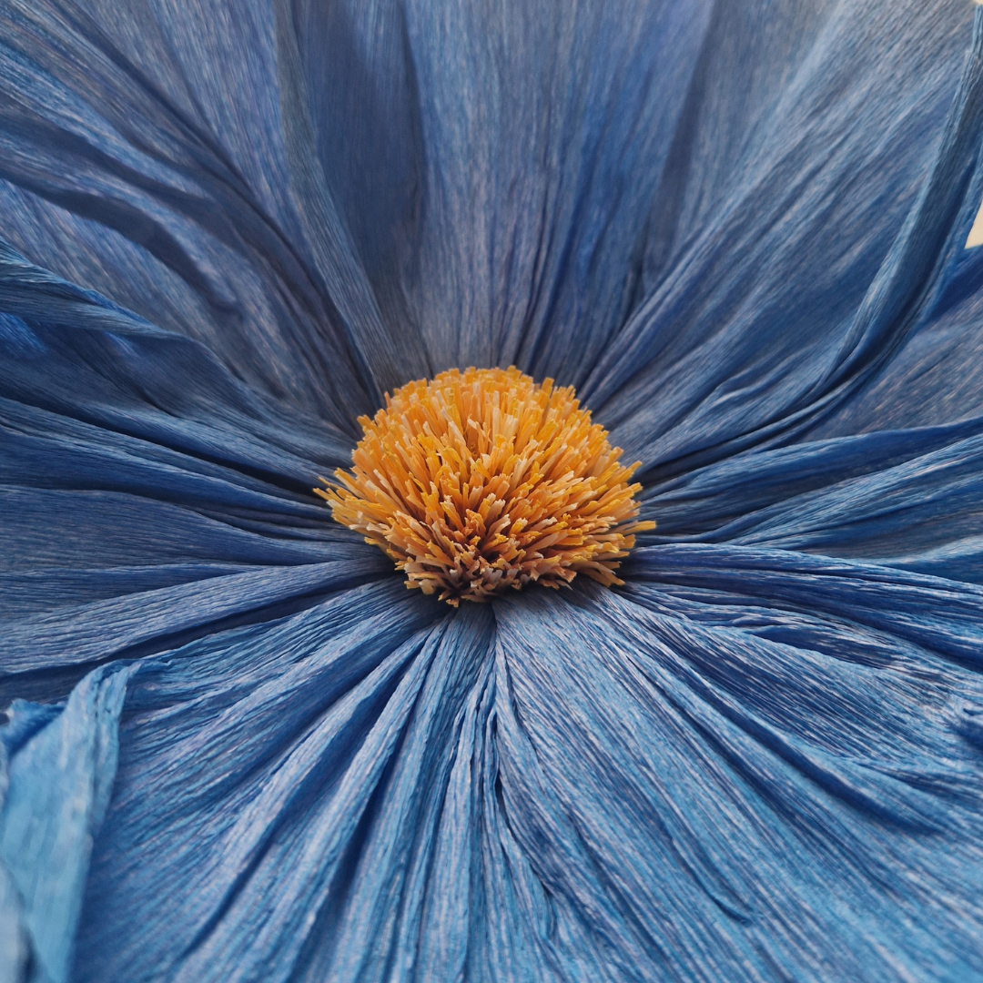 Vægblomst mini - blå