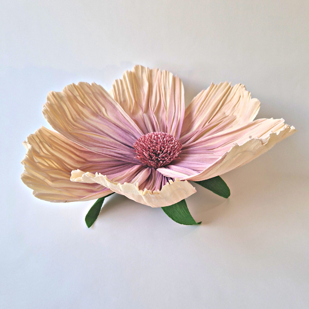 Vægblomst creme/rosa