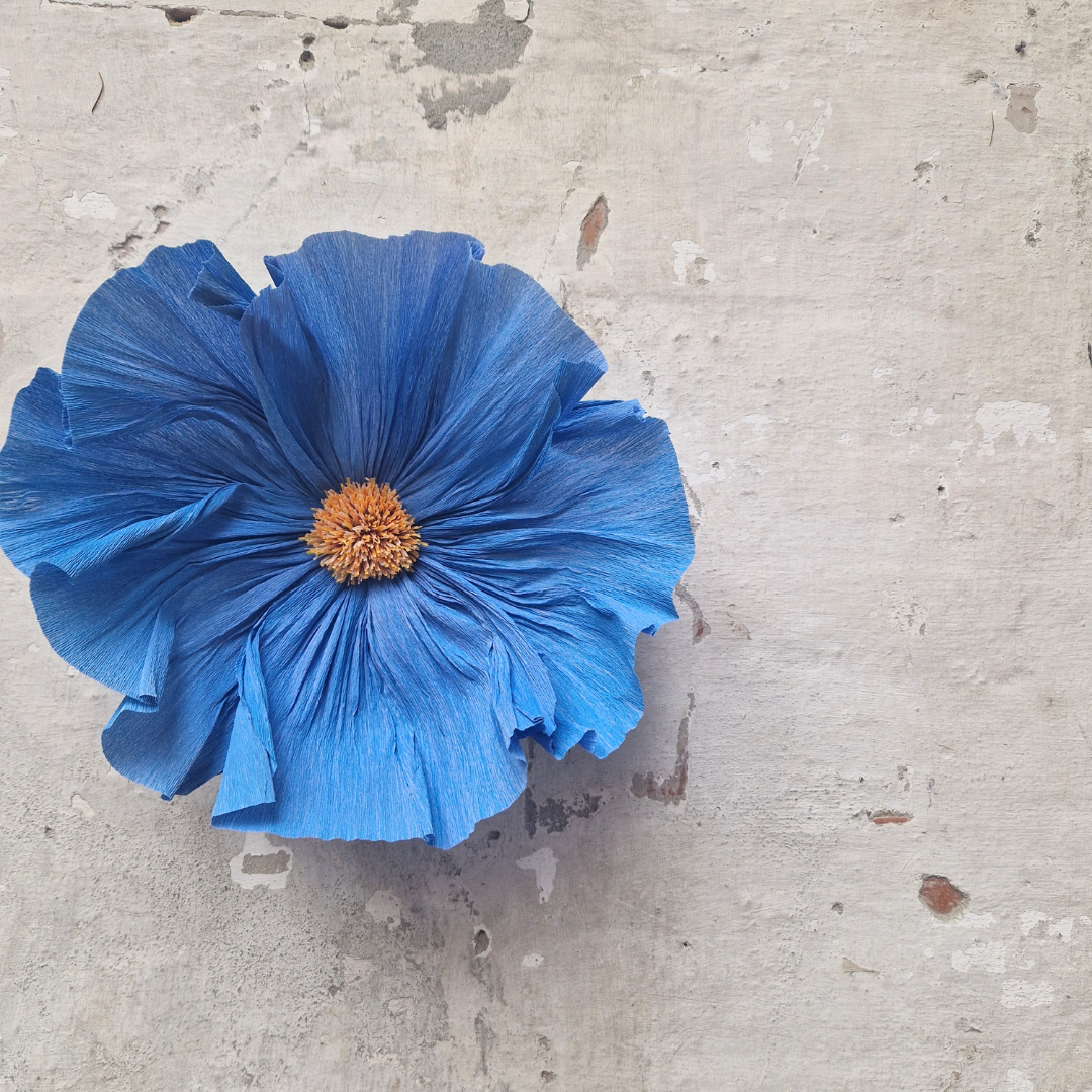 Vægblomst mini - blå