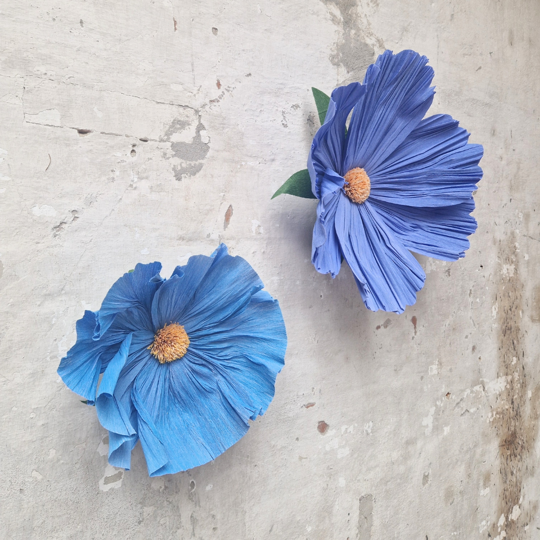 Vægblomst mini - blå