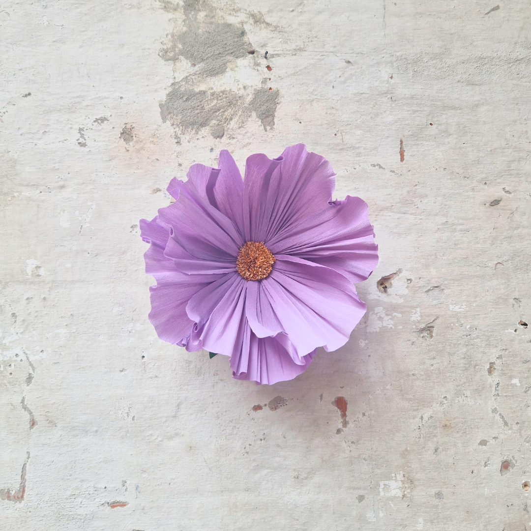 Vægblomst mini - lavendel