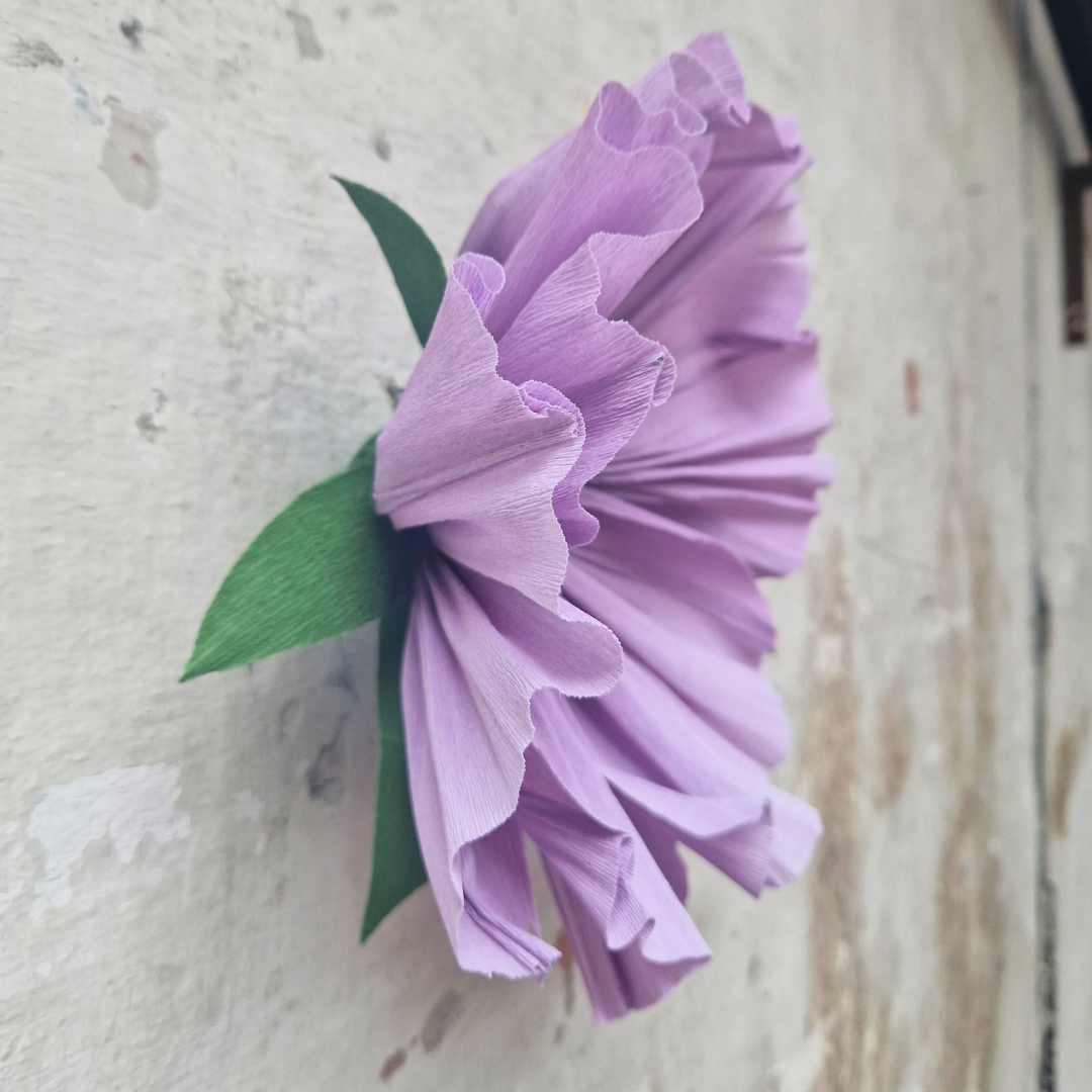 Vægblomst mini - lavendel