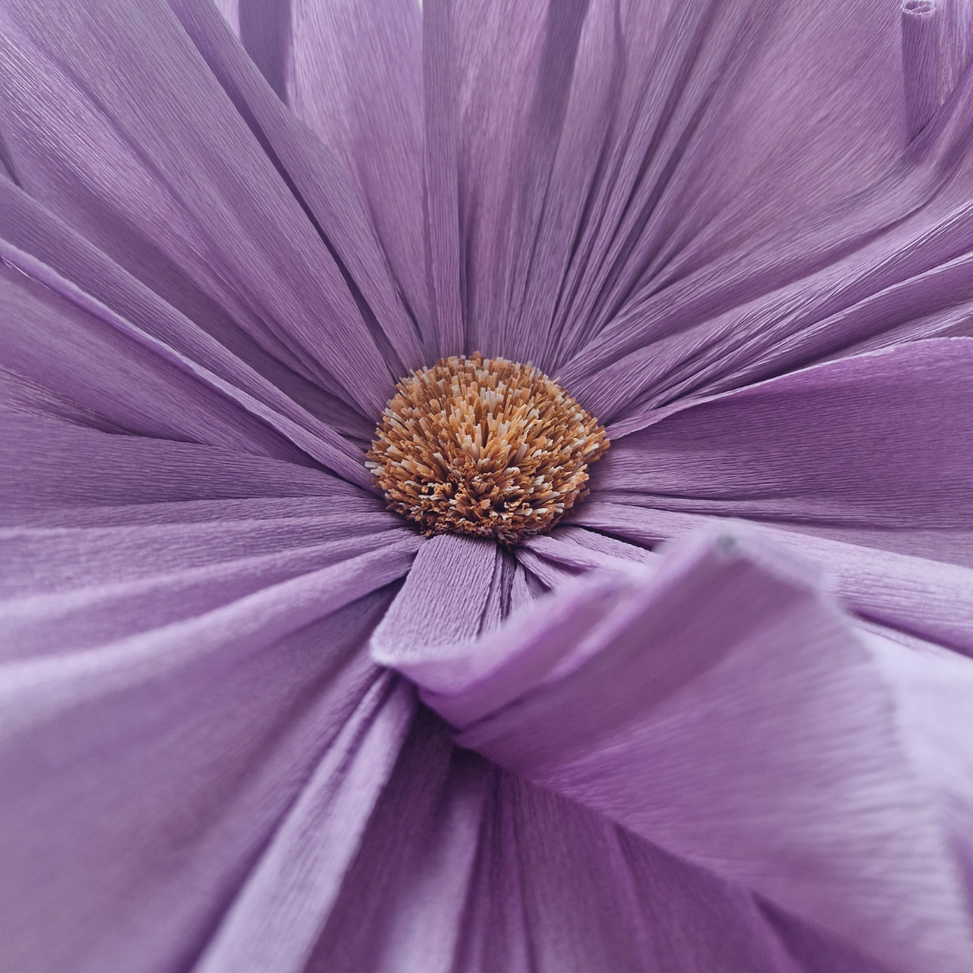 Vægblomst mini - lavendel