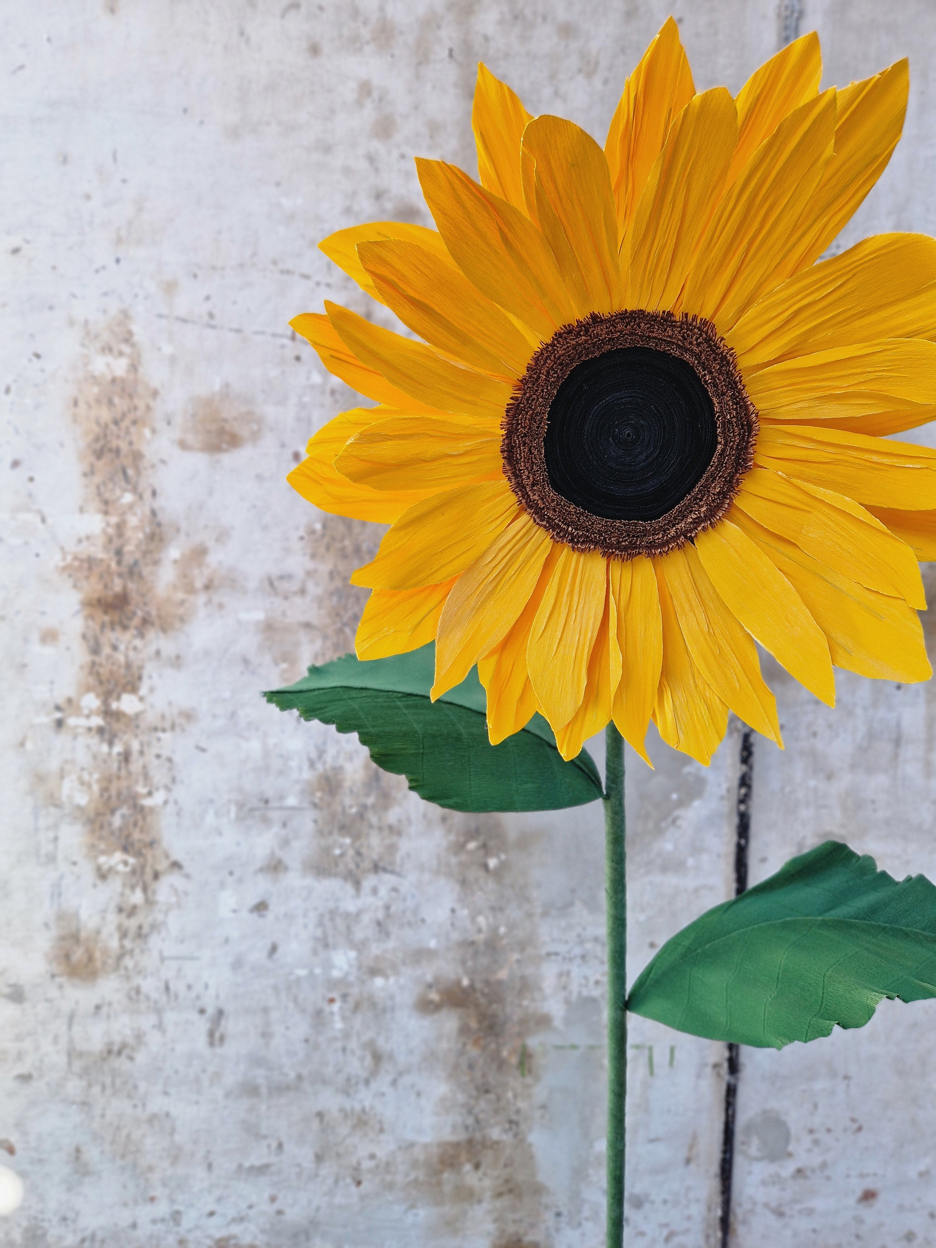 White Sensation Stilk Studio white-sensation-stilk-studio