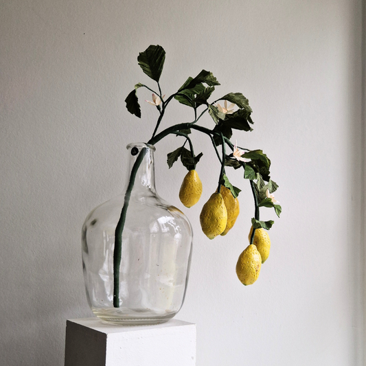 Citrongren