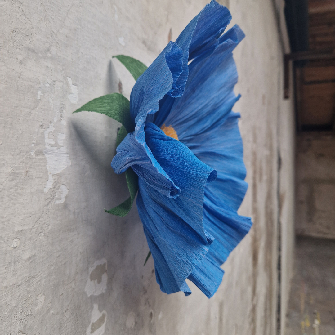 Vægblomst mini - blå